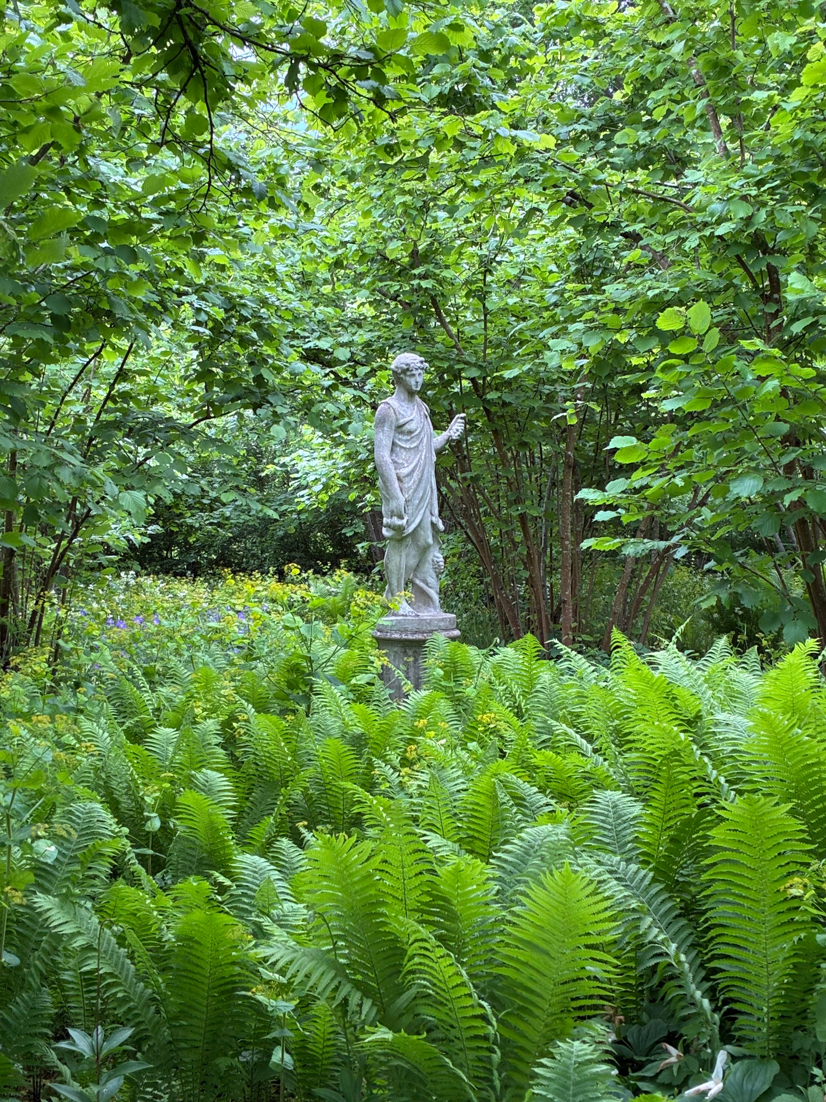 Portrait — Les Jardins d'Hysope