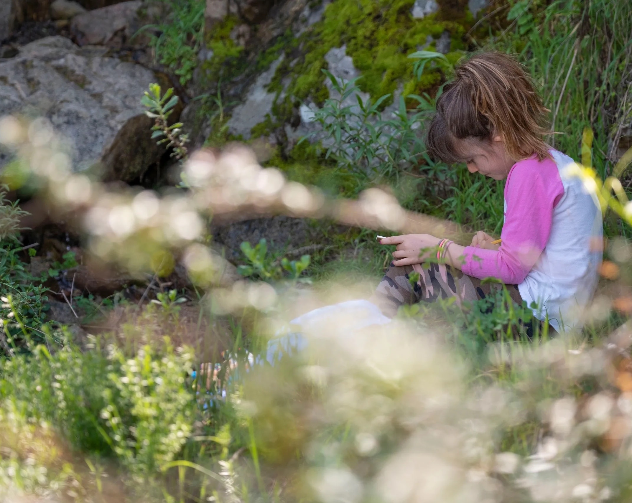 Animations Nature — atelier botanique en plein air